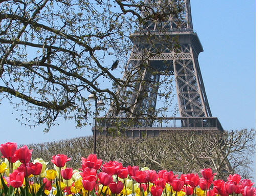 Французька весна у Києві