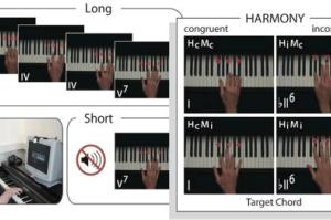 Учені: Джазові піаністи швидше класичних адаптуються до раптової зміни строю під час гри  