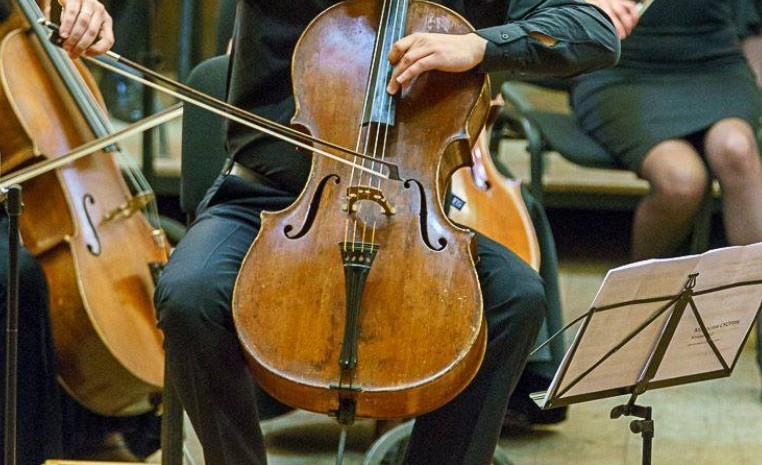 29 грудня - Міжнародний день віолончелі (International Cello Day)